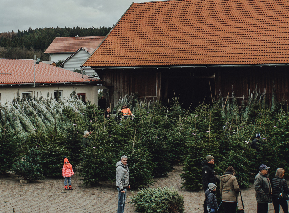 Christbaumhof-Gierstorfer-Verkauf-Hof