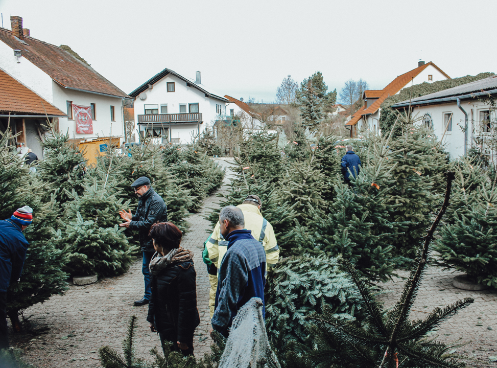 Christbaumhof-Gierstorfer-Verkauf-Hof-2